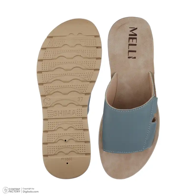 دمپایی زنانه ملی مدل 28496612 رنگ آبی