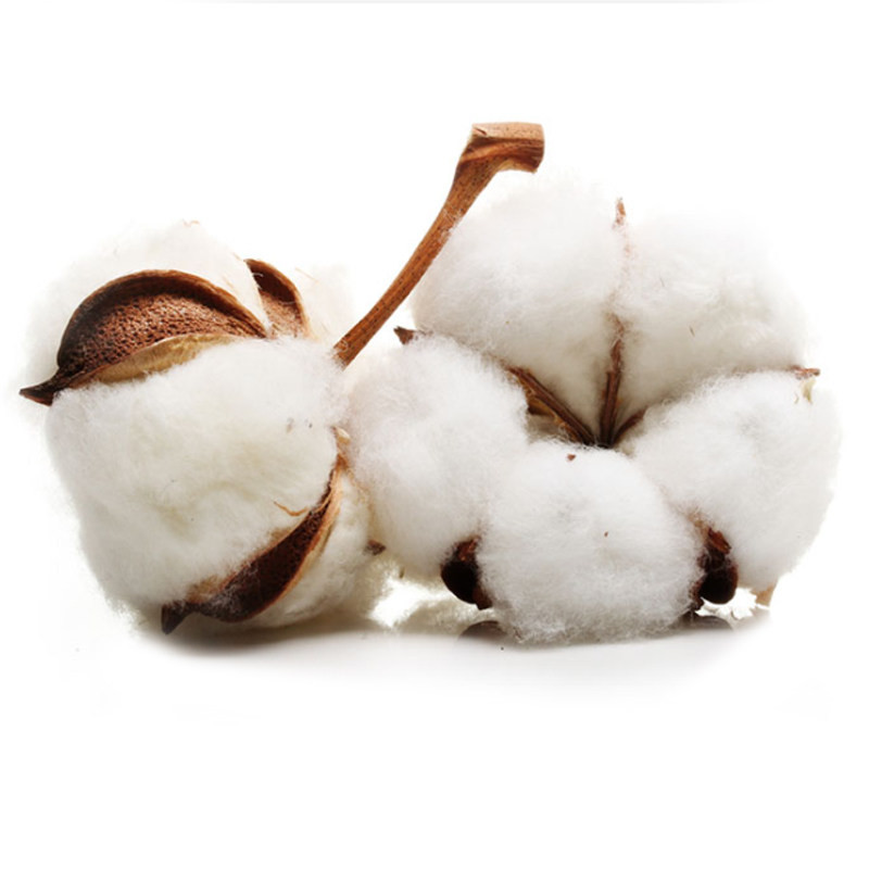 بالش تیموتی مدل HILTON بسته دو عددی