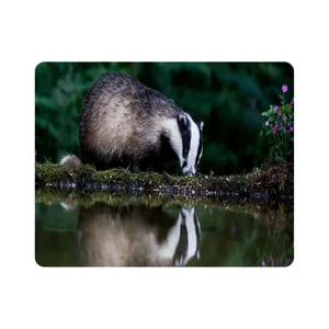 ماوس پد طرح گورکن مدل T8043