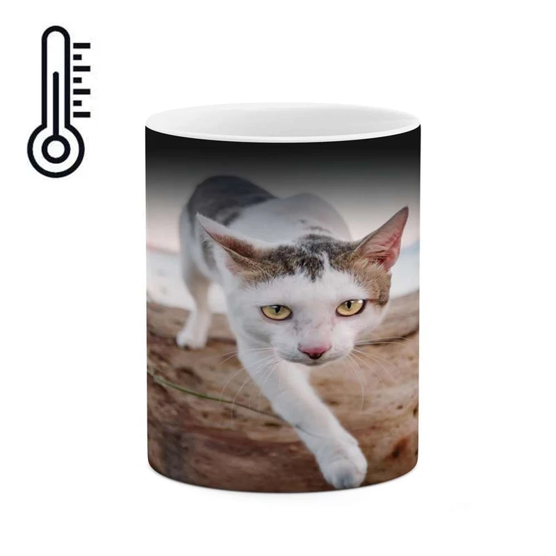 ماگ حرارتی کاکتی مدل گربه کد mgh17371