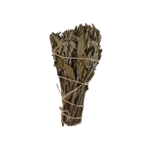 اسماج مدل مریم-گلی کالیفرنیایی