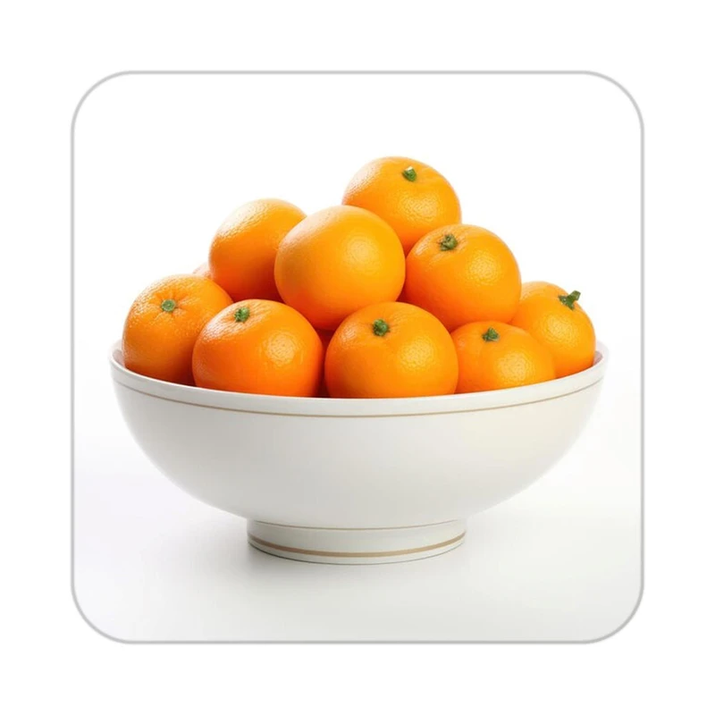 زیر لیوانی کاکتی طرح میوه مدل mp21768