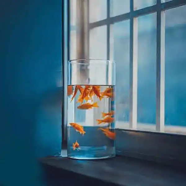 تنگ ماهی مدل نوروز 1020