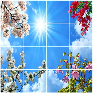 تایل سقفی آسمان مجازی طرح آسمان و گل کد ST 2485-16 سایز 60x60 سانتی متر مجموعه 16عددی