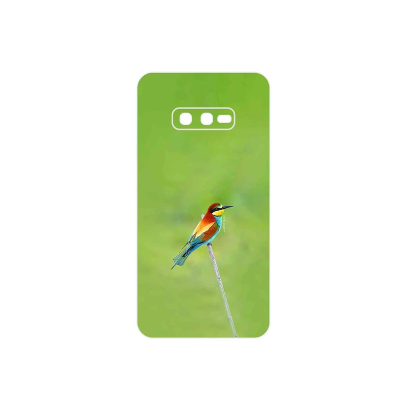 برچسب پوششی ماهوت مدل European bee-eater مناسب برای گوشی موبایل سامسونگ Galaxy S10e