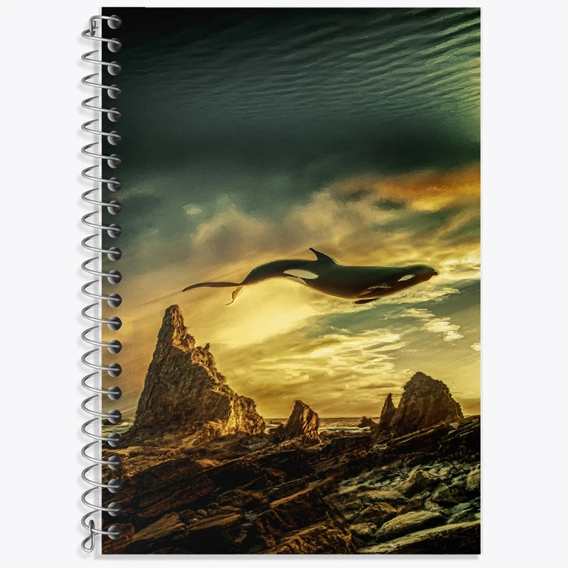 دفتر لغت 50 برگ خندالو طرح وال کد F1071