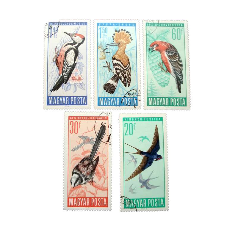 تمبر یادگاری مدل پرندگان کد DS2270 مجموعه 5 عددی