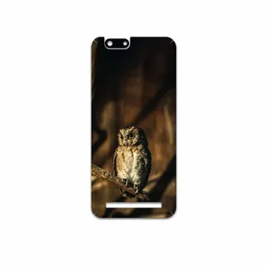 MAHOOT Owl Cover Sticker for PinePhone Kde Community Edition