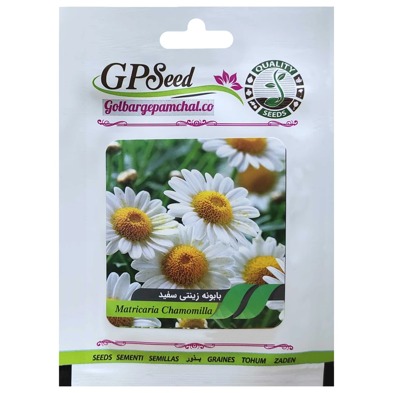  بذر گل بابونه زینتی سفید گلبرگ پامچال کد GPF-235