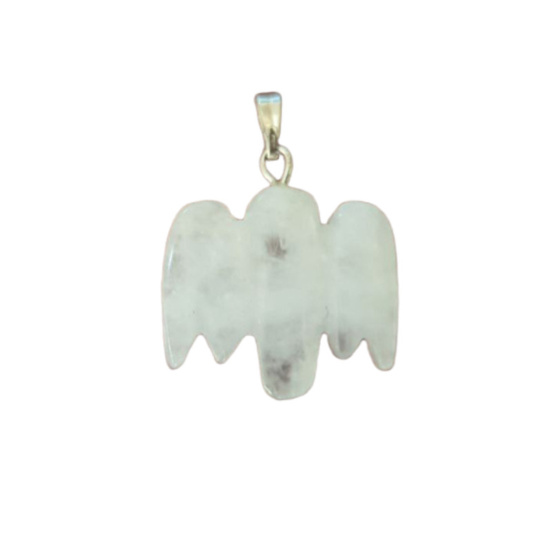 آویز گردنبند دخترانه مدل شاهین S2