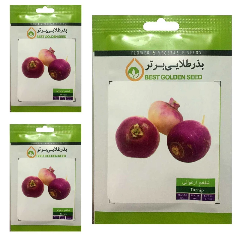 بذر شلغم ارغوانی بذر طلایی برتر کد BTB-58 مجموعه 3 عددی