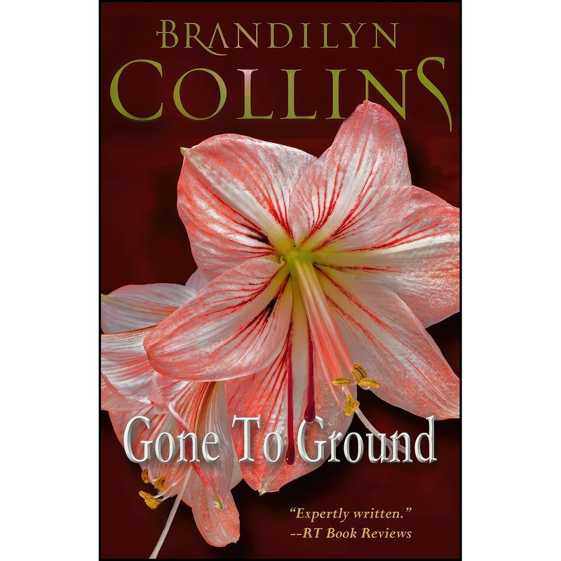 کتاب Gone To Ground اثر Brandilyn Collins انتشارات تازه ها