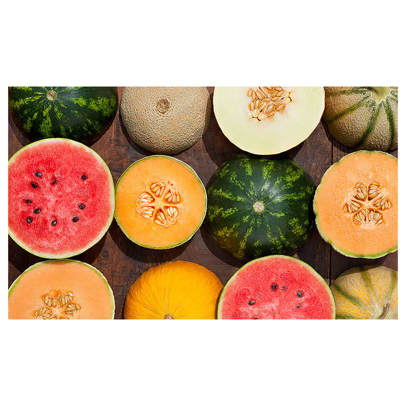 بذر واتر ملون گرین فارم کد TERRS-1 بسته 6 عددی بذر واتر ملون گرین فارم کد TERRS-1 بسته 6 عددی