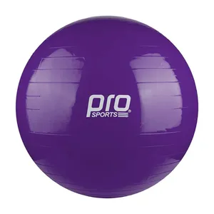 توپ تناسب اندام پرو اسپورتز مدل NO-75CM DAY4