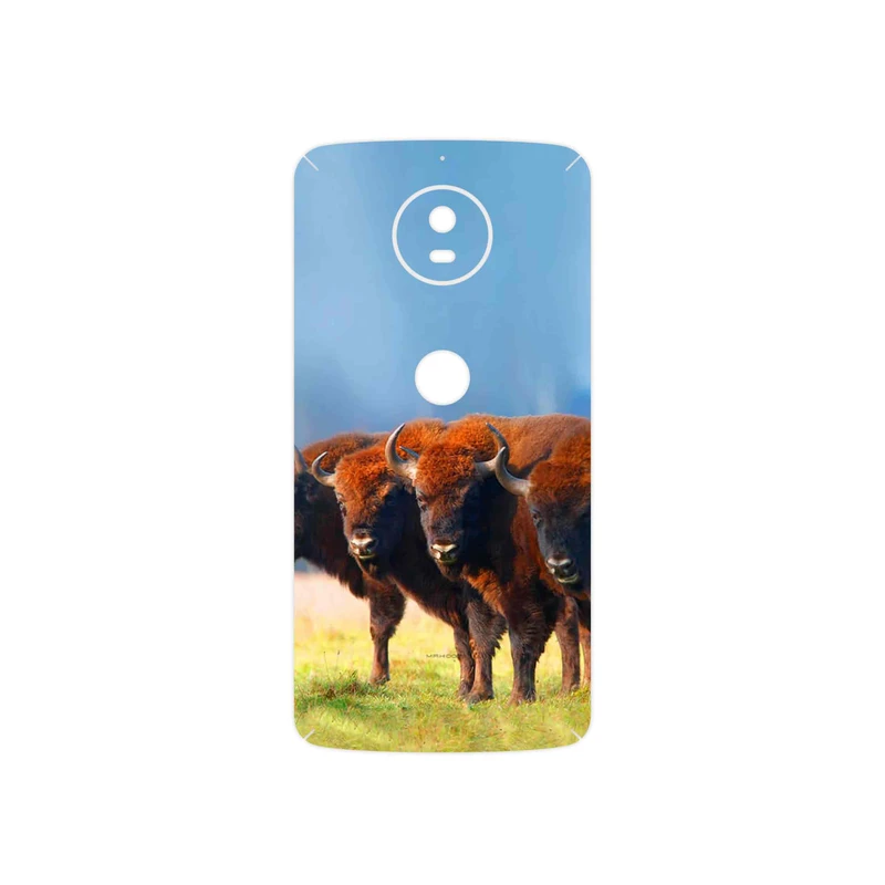 برچسب پوششی ماهوت مدل Buffalo مناسب برای گوشی موبایل موتورولا Moto G5S