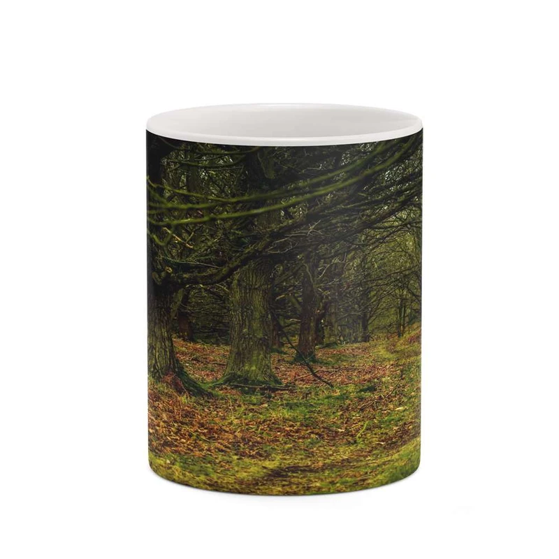 ماگ کاکتی مدل منظره پاییزی کد mgh18598