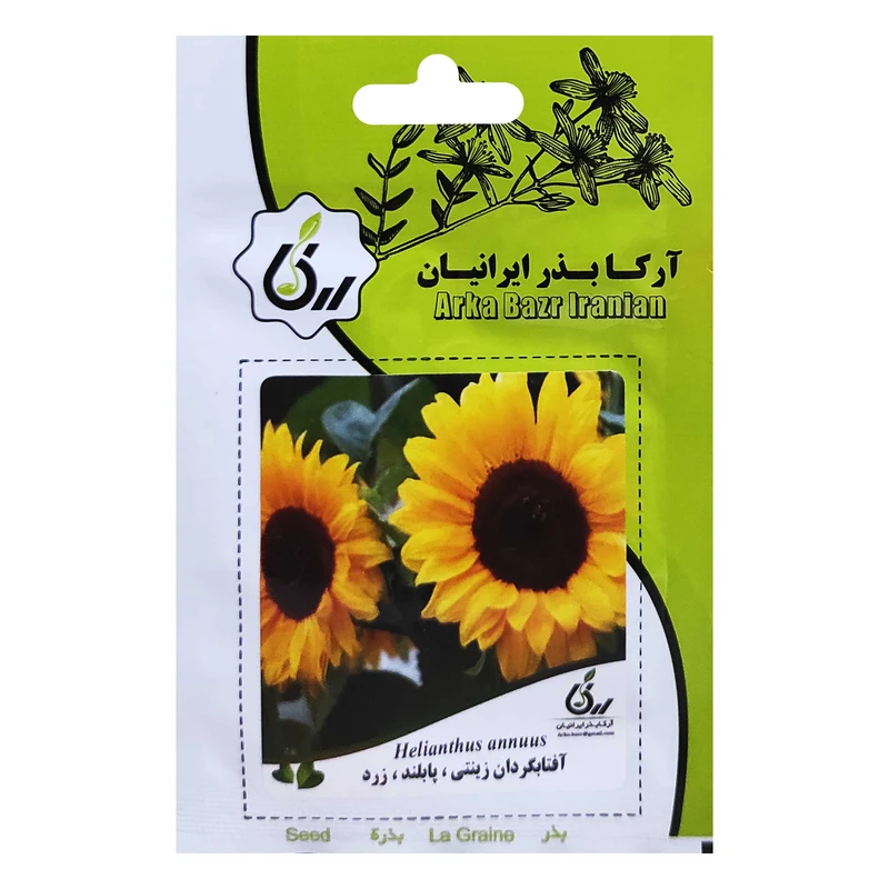 بذر آفتابگردان زینتی پابلند زرد آرکا بذر ایرانیان کد ARK-010 