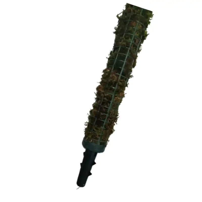 قیم بند پایه دار مدل خزه دار