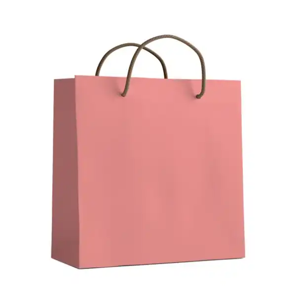 ساک دستی مدل 10085 بسته 12 عددی