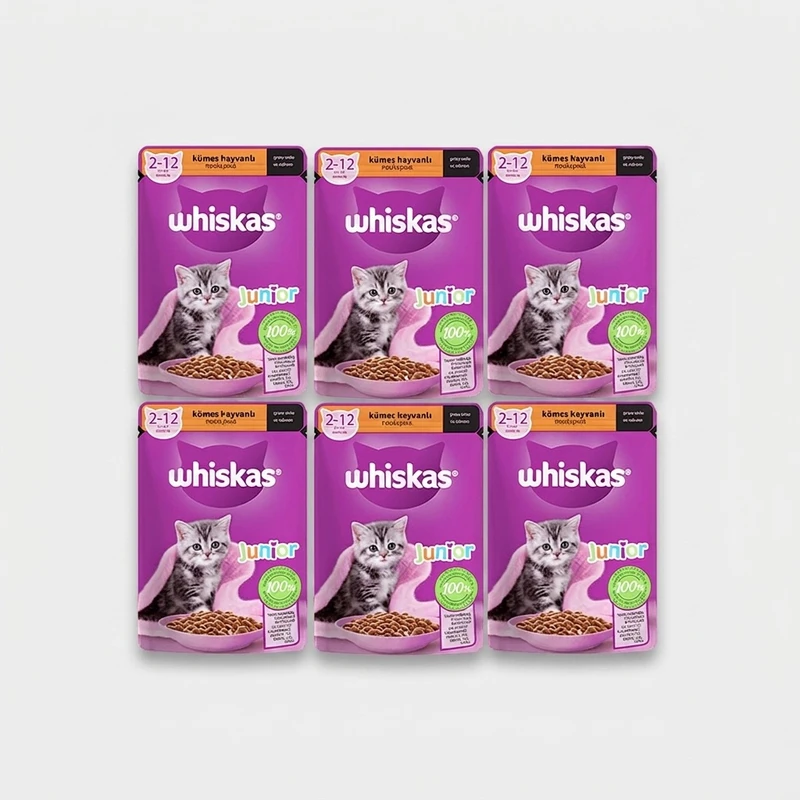 پوچ بچه گربه ویسکاس مدل Junior وزن 85 گرم بسته 6 عددی