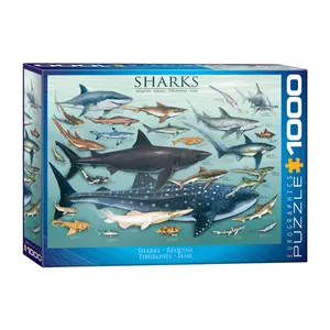 پازل 1000 تکه یوروگرافیکس پازلز مدل (6000-0079)Sharks