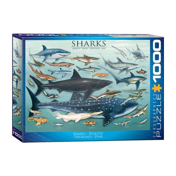 پازل 1000 تکه یوروگرافیکس پازلز مدل (6000-0079)Sharks