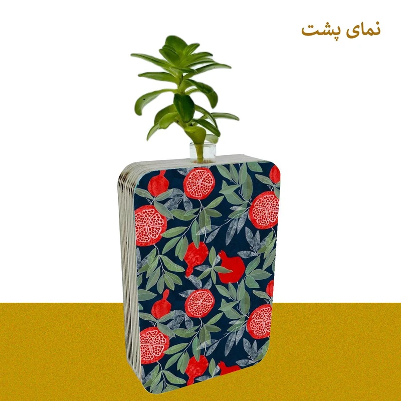 عکس شماره 3