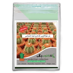 بذر ملوکاکتوس کله قرمز کاکتوسچی مدل AM-059