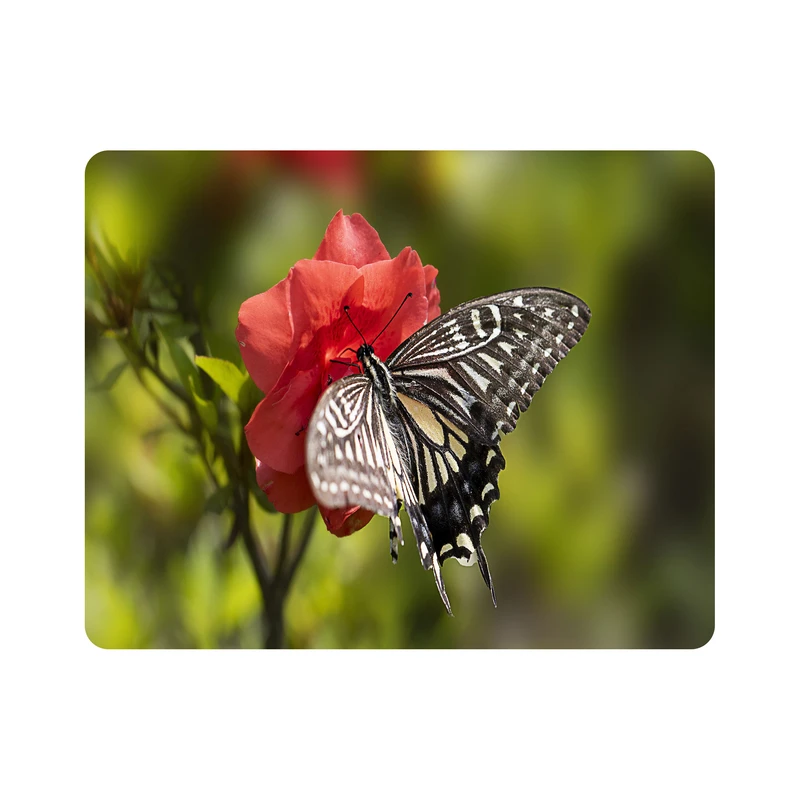 ماوس پد طرح پروانه و گل مدل T8068