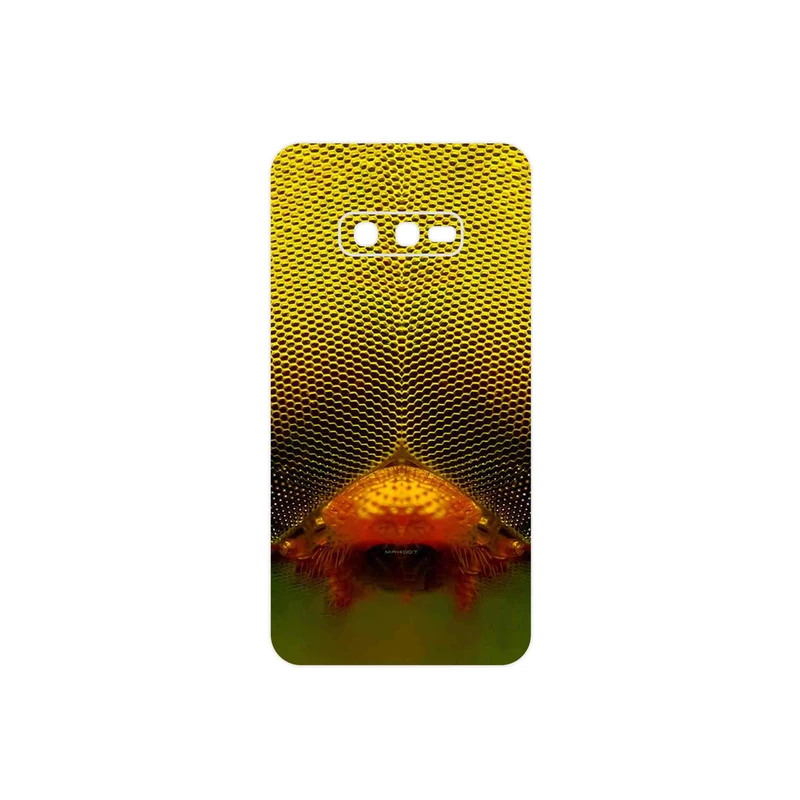 برچسب پوششی ماهوت مدل Bee eyes مناسب برای گوشی موبایل سامسونگ Galaxy S10e