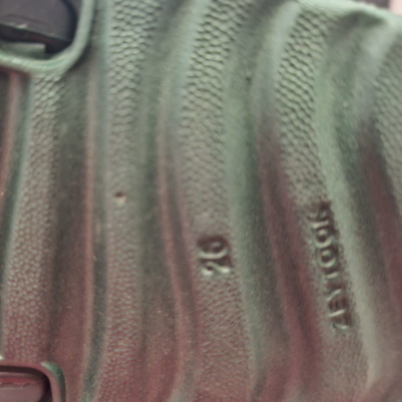 دمپایی حمام زیتون مدل دایناسور