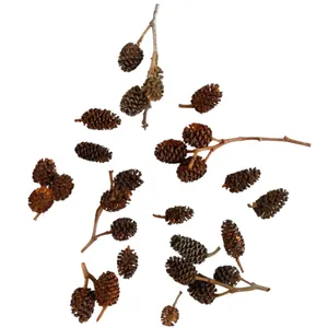 دکوری مدل توسکا ورنو بسته ۳۰ عددی