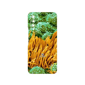 MAHOOT Atom Universe 6 Cover Sticker for Wiko T50