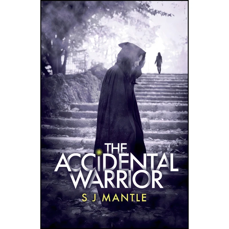 کتاب The Accidental Warrior اثر S. J. Mantle انتشارات Troubador Publishing Ltd