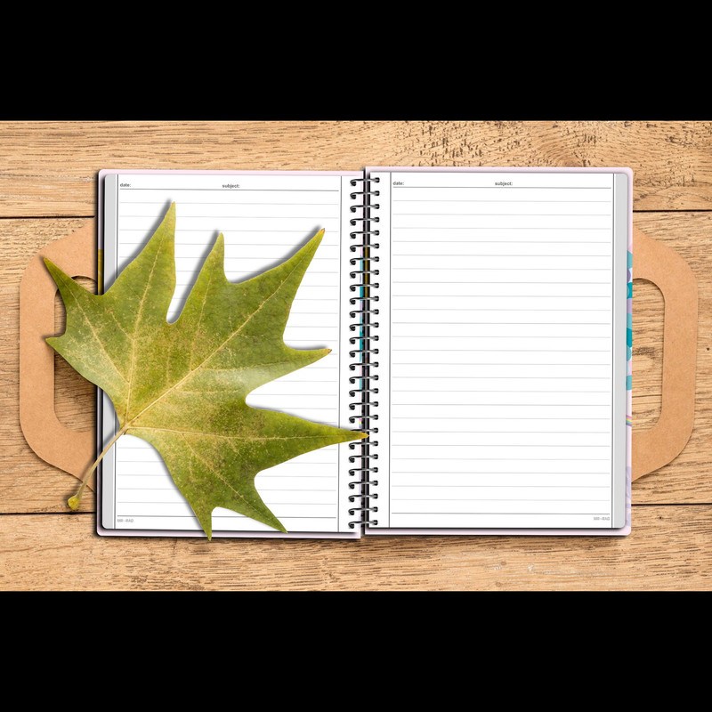 دفتر مشق 50 برگ مستر راد طرح رقص پولک ها مدل پری دریایی کد fiory 2468