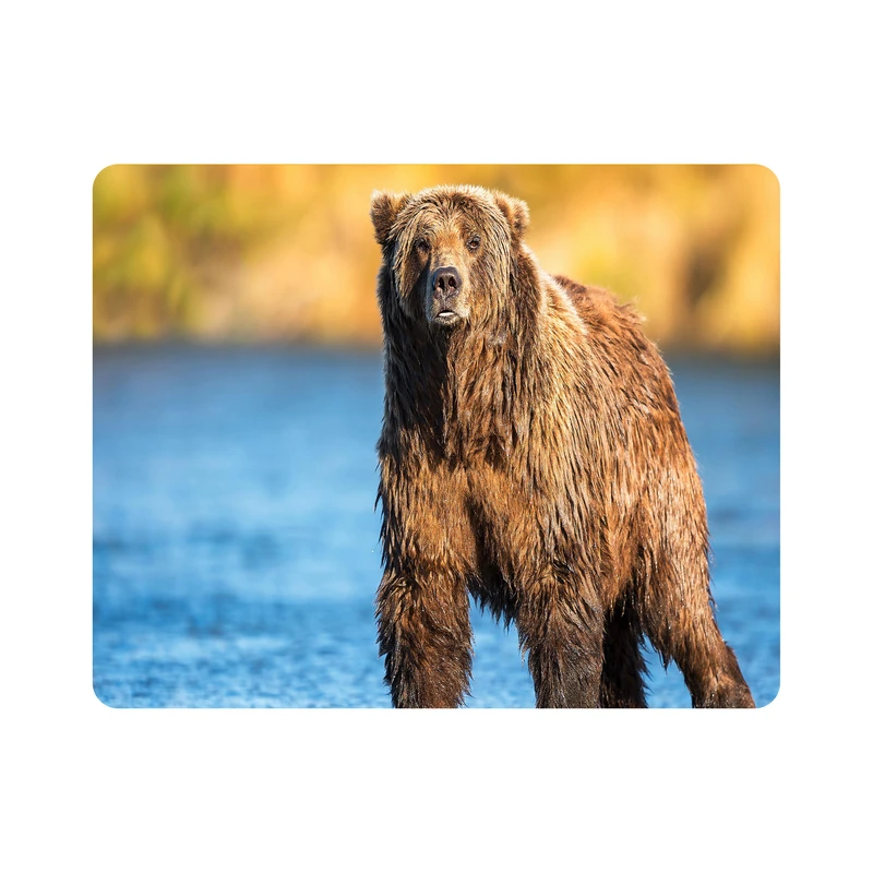 ماوس پد اطلس آبی طرح خرس و رودخانه مدل T7870