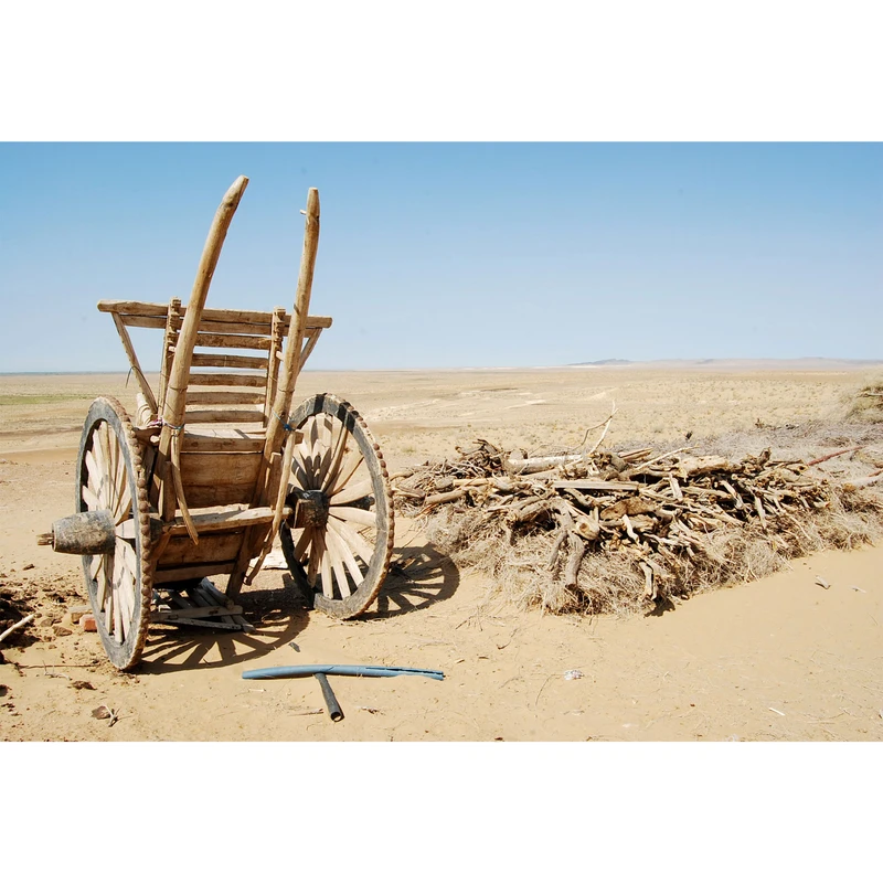 تابلو شاسی مدل بیابان و گاری و تنه درخت T6932