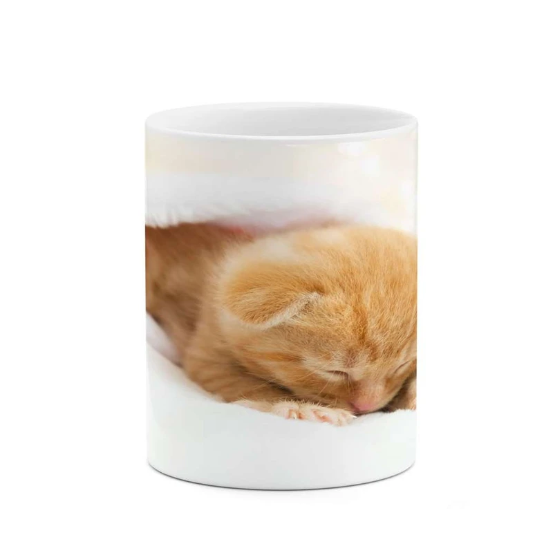 ماگ کاکتی مدل گربه کد mgh16003