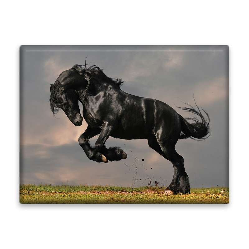 کاشی اطلس آبی طرح اسب مدل T5840
