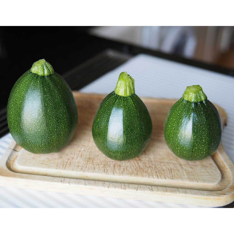 بذر کدو دلمه خورشتی توپی مدل GL5