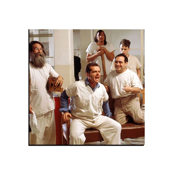 تابلو شاسی مدل فیلم دیوانه از قفس پرید