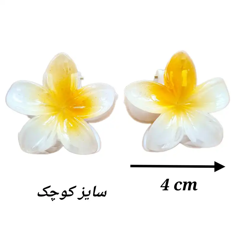 کلیپس مو زنانه مدل گل پلومریا کد 421 بسته 2 عددی