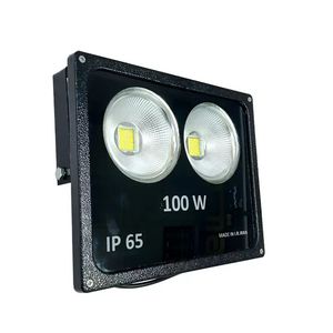 پروژکتور 100 وات مدل رانیکس