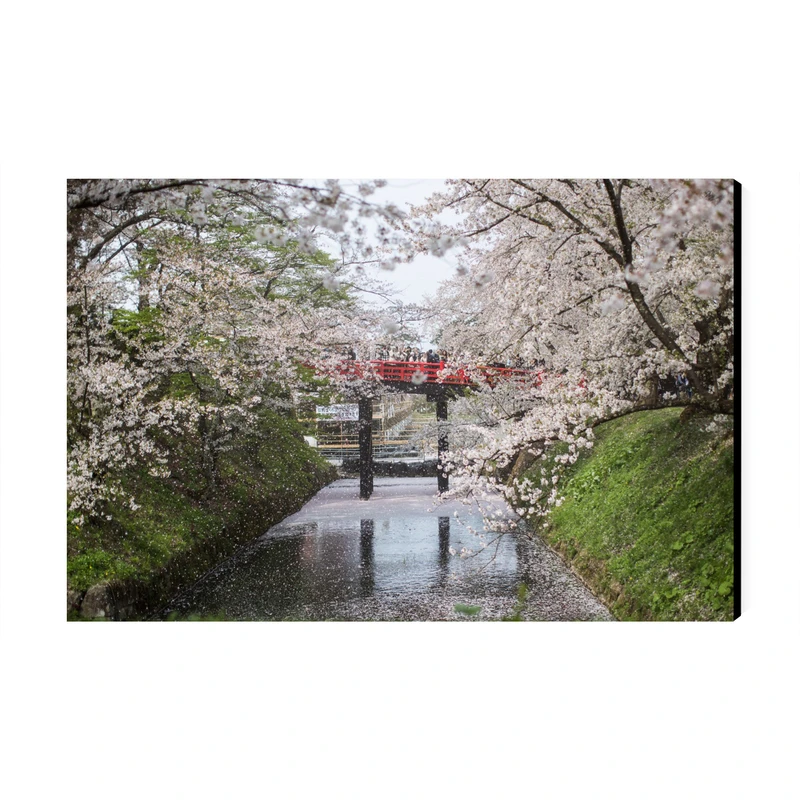 تابلو شاسی عرش طرح گردشگری ژاپن مدل جشنواره شکوفه‌های گیلاس پارک هیروساکی کد As6153