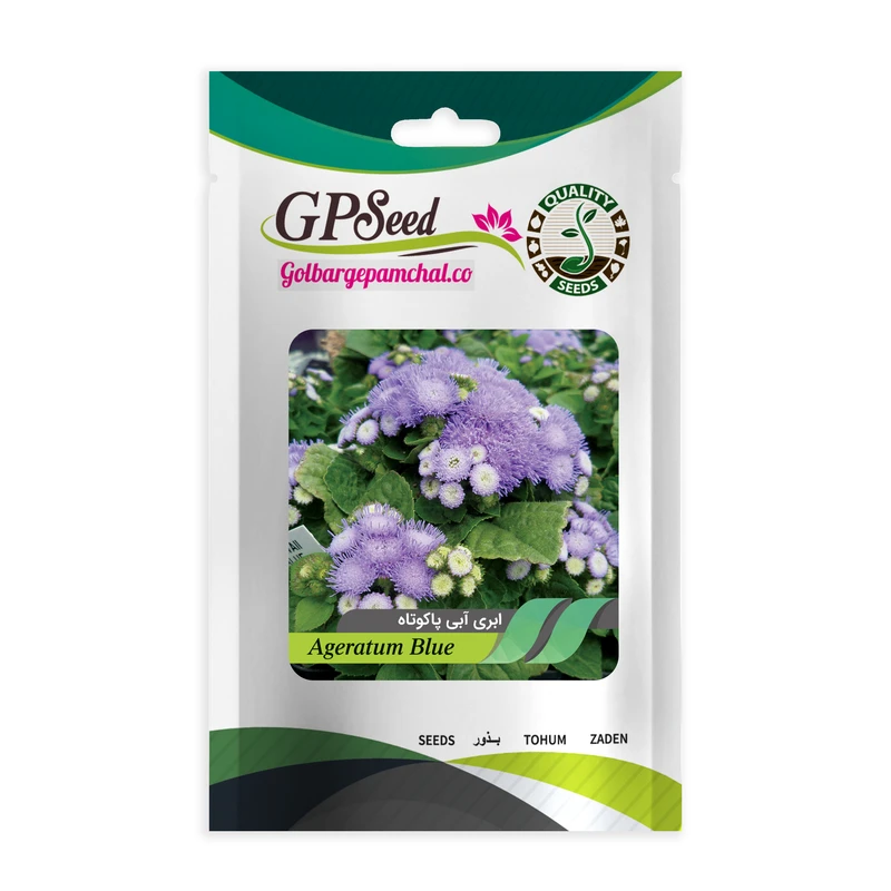 بذر گل ابری آبی گلدانی گلبرگ پامچال کد GPF-011