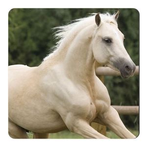مگنت طرح اسب سفید کد NIM467 