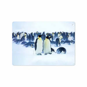 MAHOOT Penguin Cover Sticker for Apple iPad Air 2013 A1476