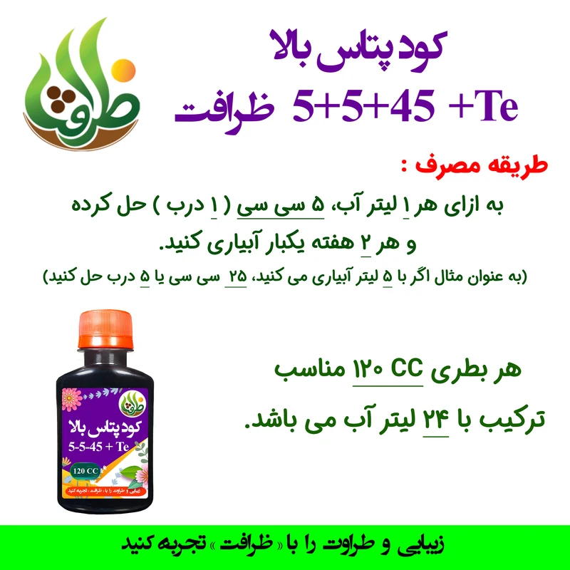 عکس شماره 3