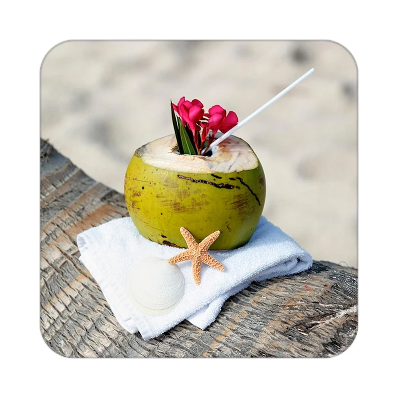 زیر لیوانی کاکتی طرح میوه مدل mp20283