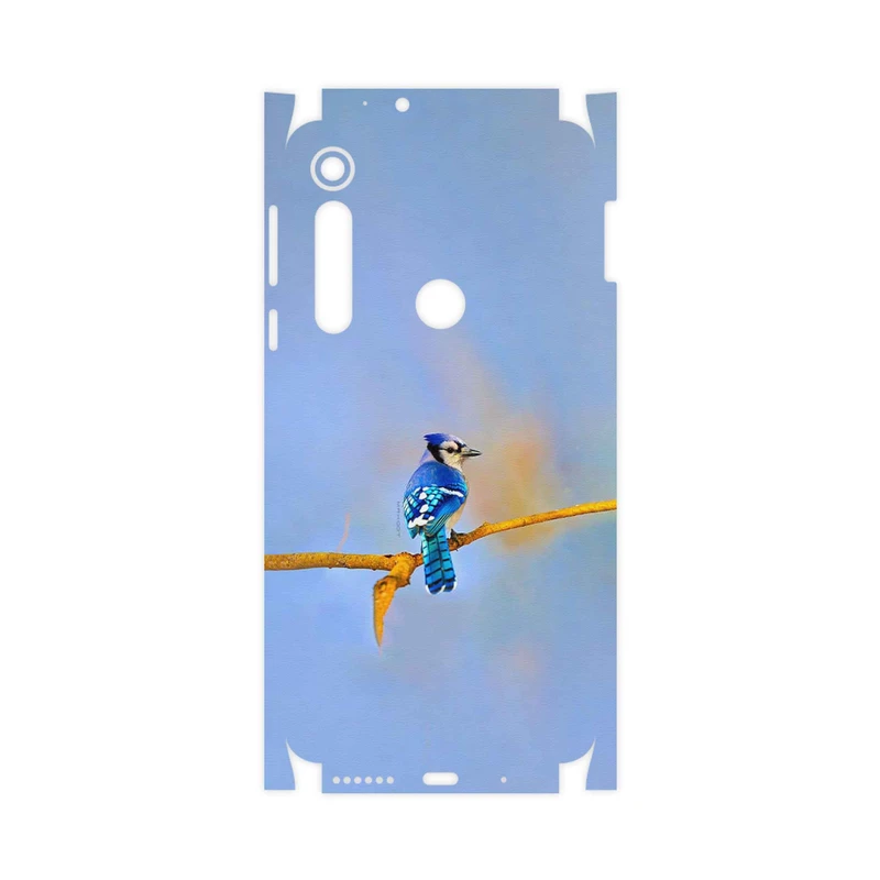 برچسب پوششی ماهوت مدل Cyanocitta cristata-FullSkin مناسب برای گوشی موبایل موتورولا One Macro